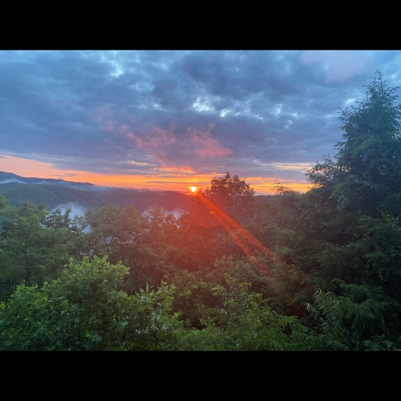 Meet your Posher, Susan - Picture 2 of 4